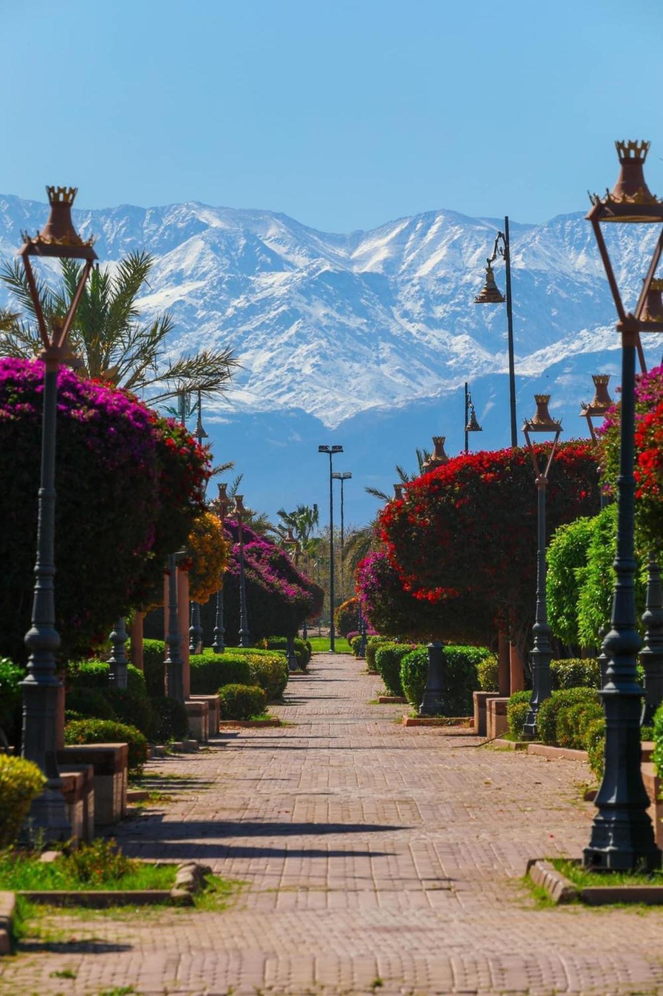 Riad Majestic Marrakech Marrakesh Eksteriør billede