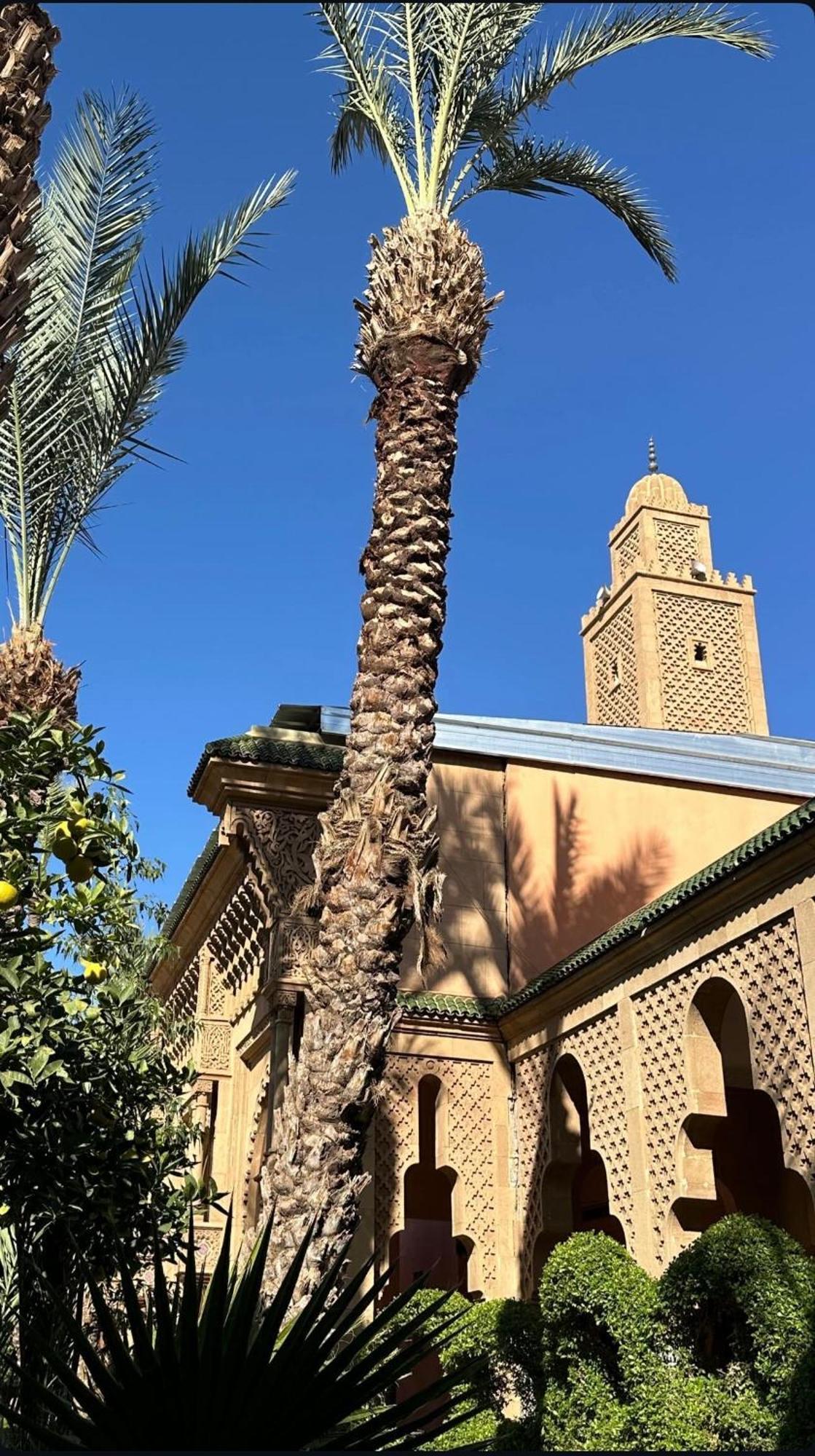 Riad Majestic Marrakech Marrakesh Eksteriør billede